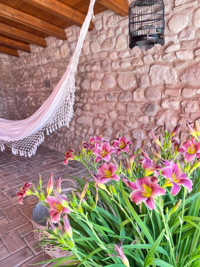 Le Mansarine Charme B&B Castellaro  Zewnętrze zdjęcie