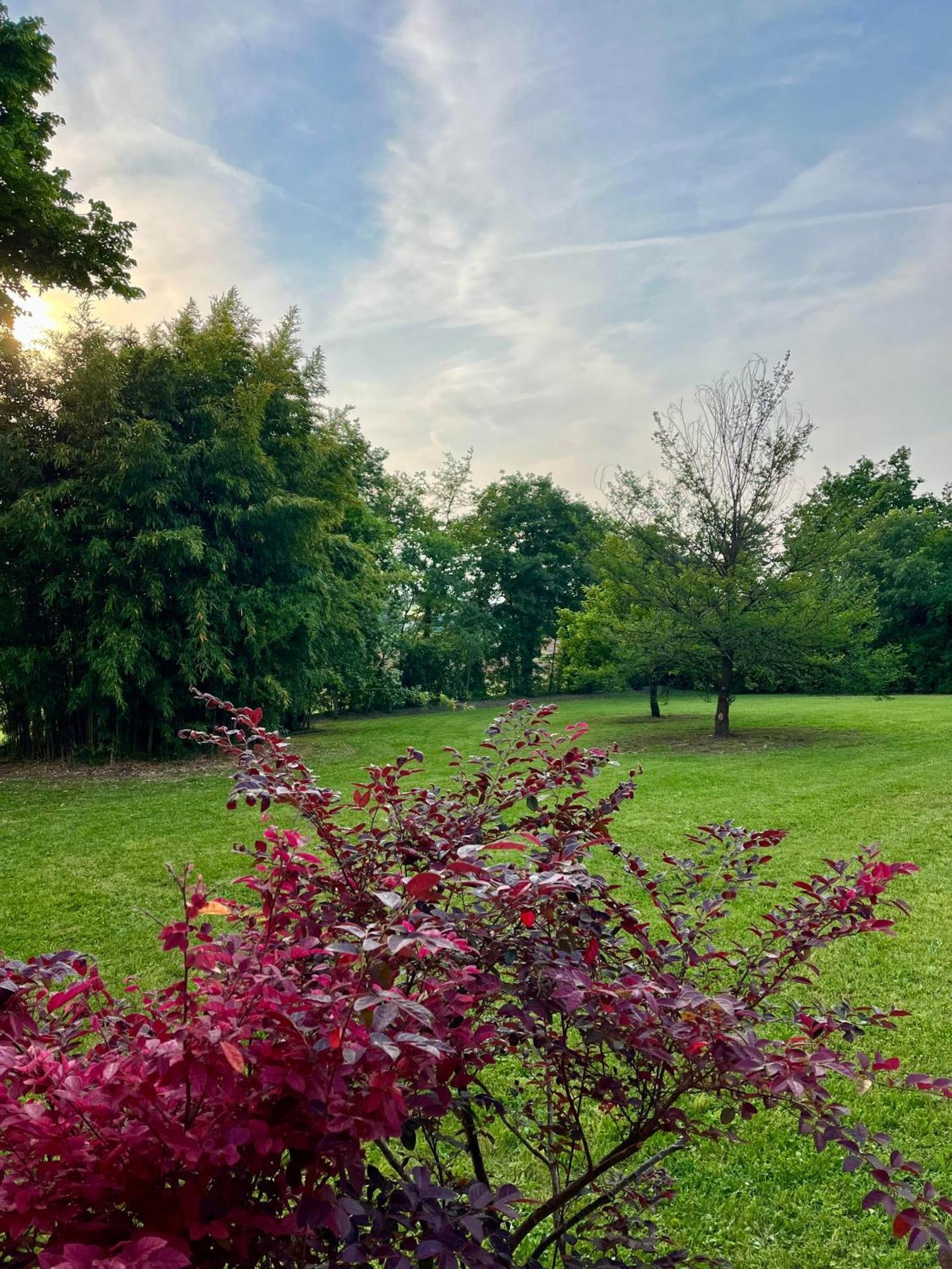 Le Mansarine Charme B&B Castellaro  Zewnętrze zdjęcie